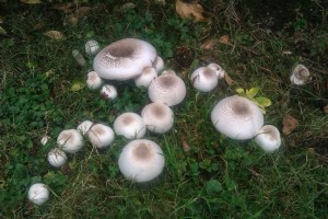 IMAG0408