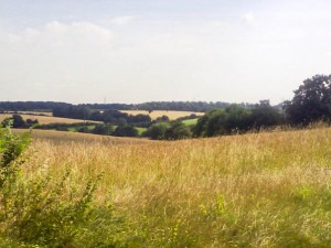 colne4